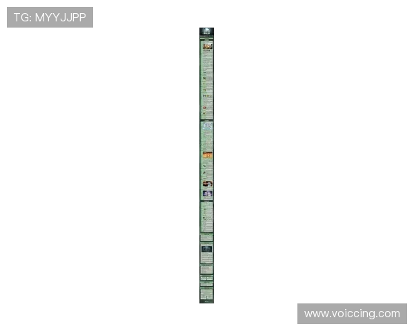 宝博集团最新游戏产品上线详情及其对玩家体验的提升方案