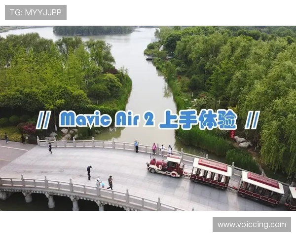 开云真人版玩家心得，分享真实体验帮助新手快速上手