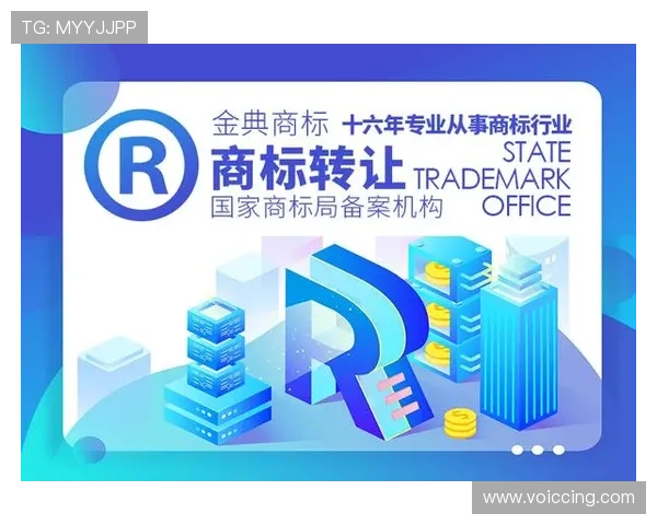 新宝体育客户服务中心：专业团队全天候解答你的各种疑问