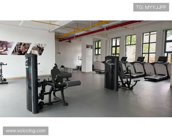 力量体育登录平台安全稳定，助你轻松开启专业健身训练新体验