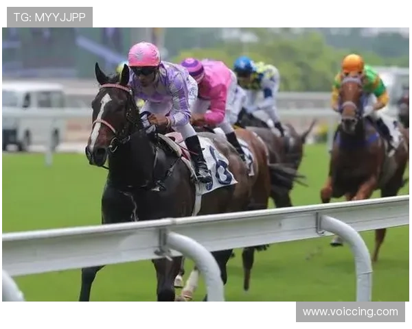 龙8体育网址最新入口提供安全稳定的登录体验助你轻松畅享体育赛事